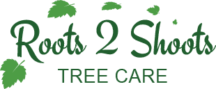 Roots 2 Shoots Tree Care logo