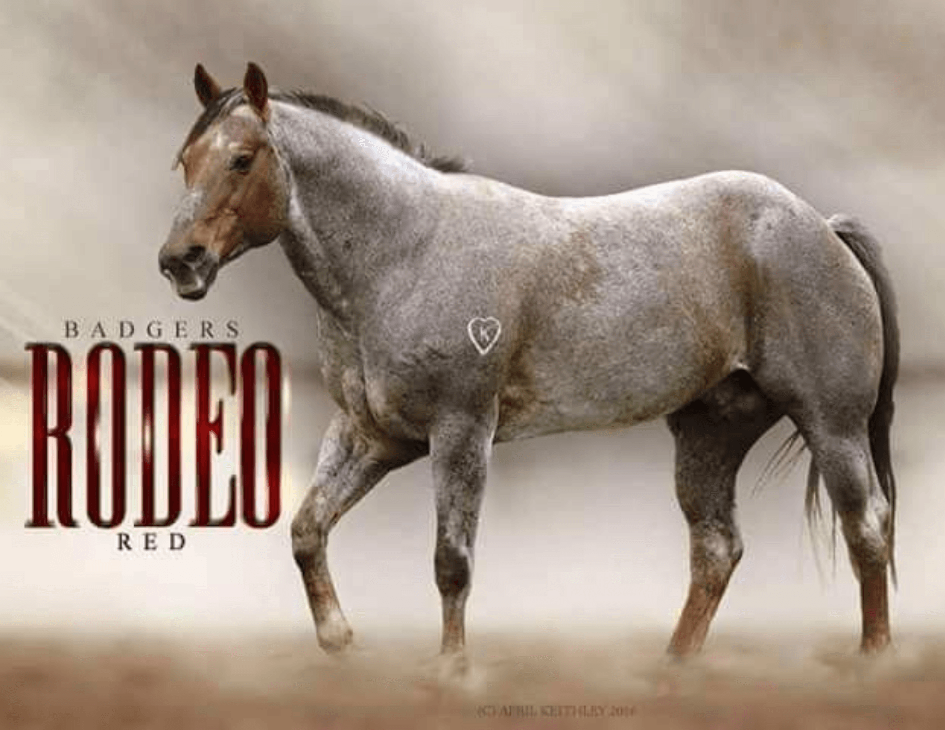 Badgers Red Rodeo Royal Crown