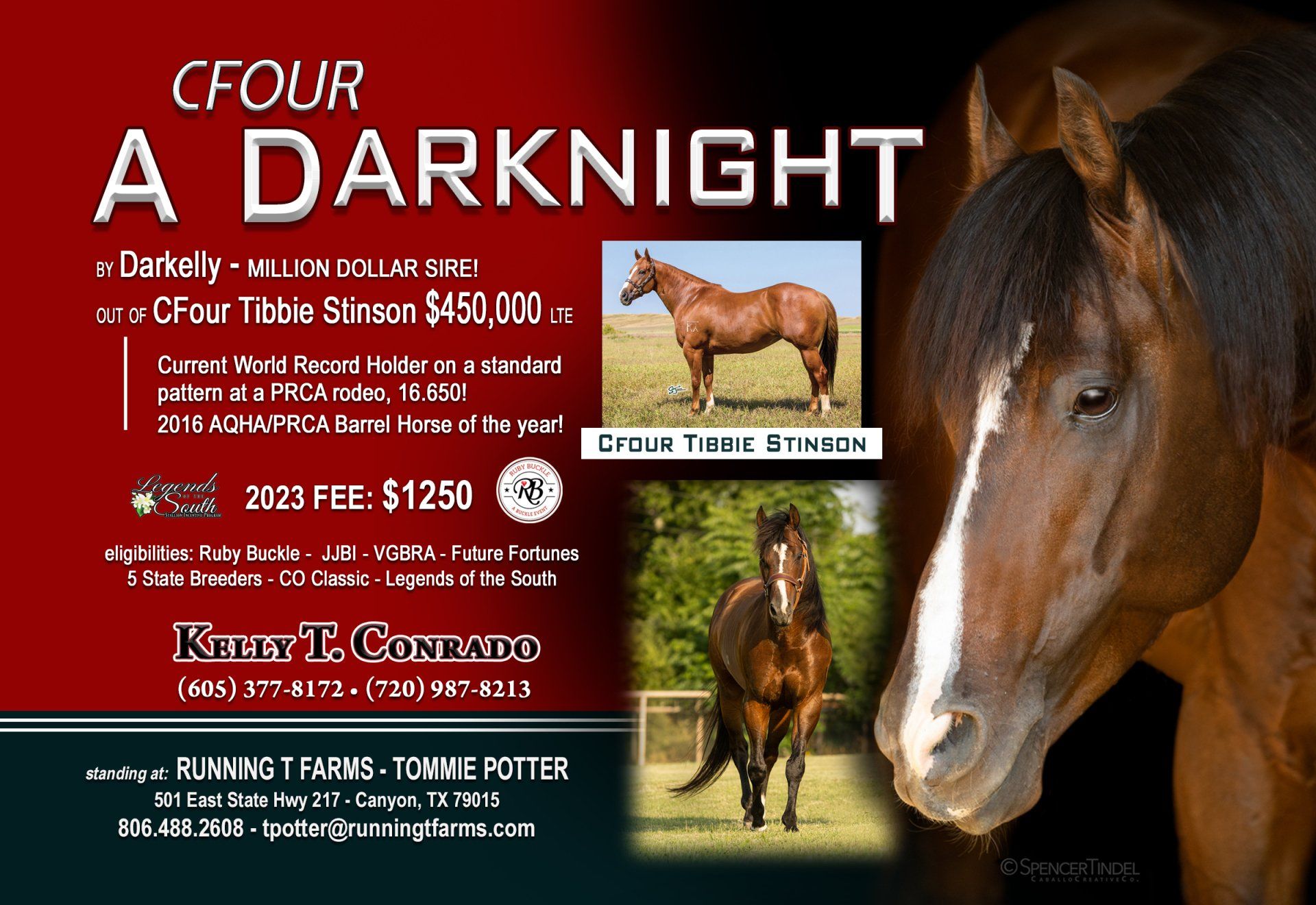 CFour A Darknight Royal Crown