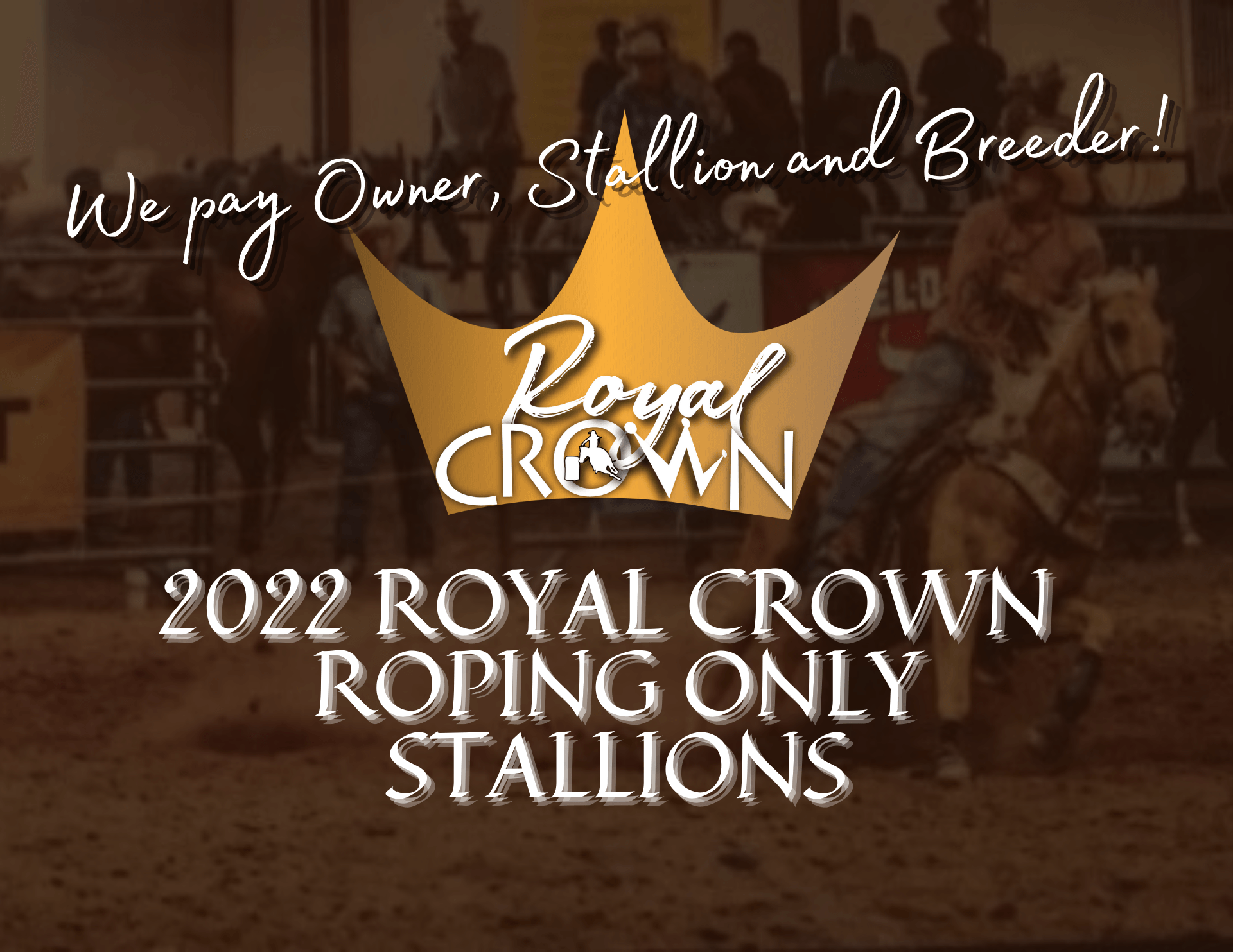 Stallions | Royal Crown