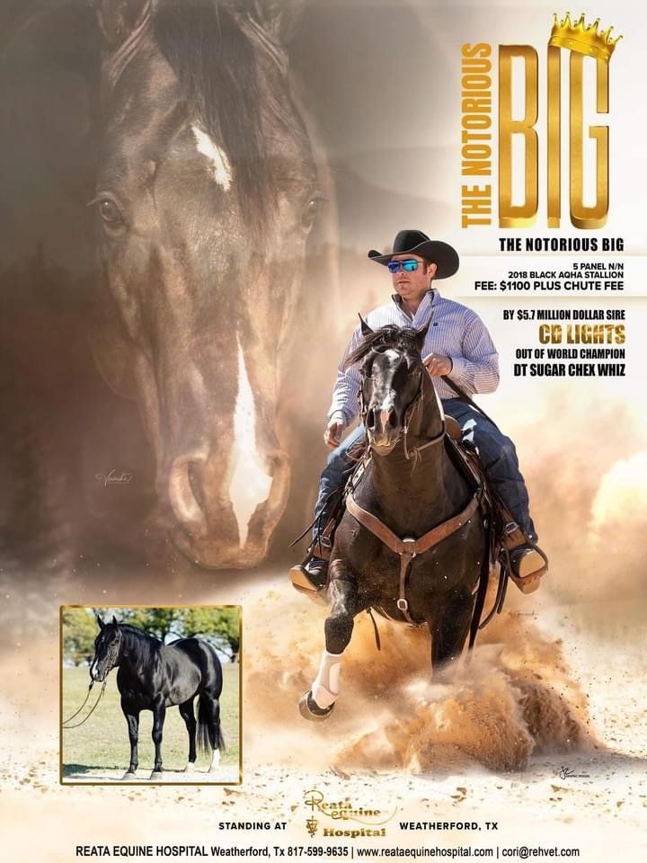 The Notorious B I G Royal Crown