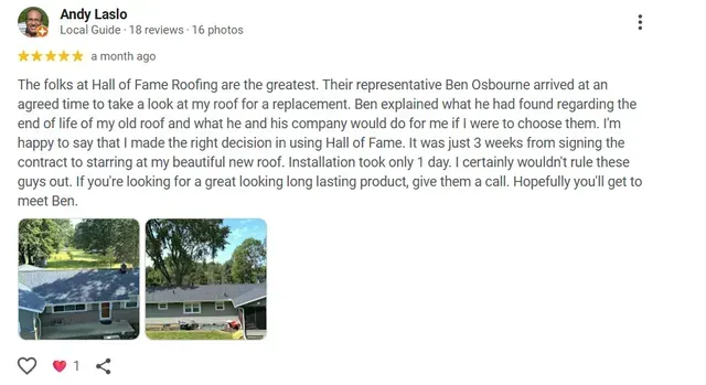 customer review (3)