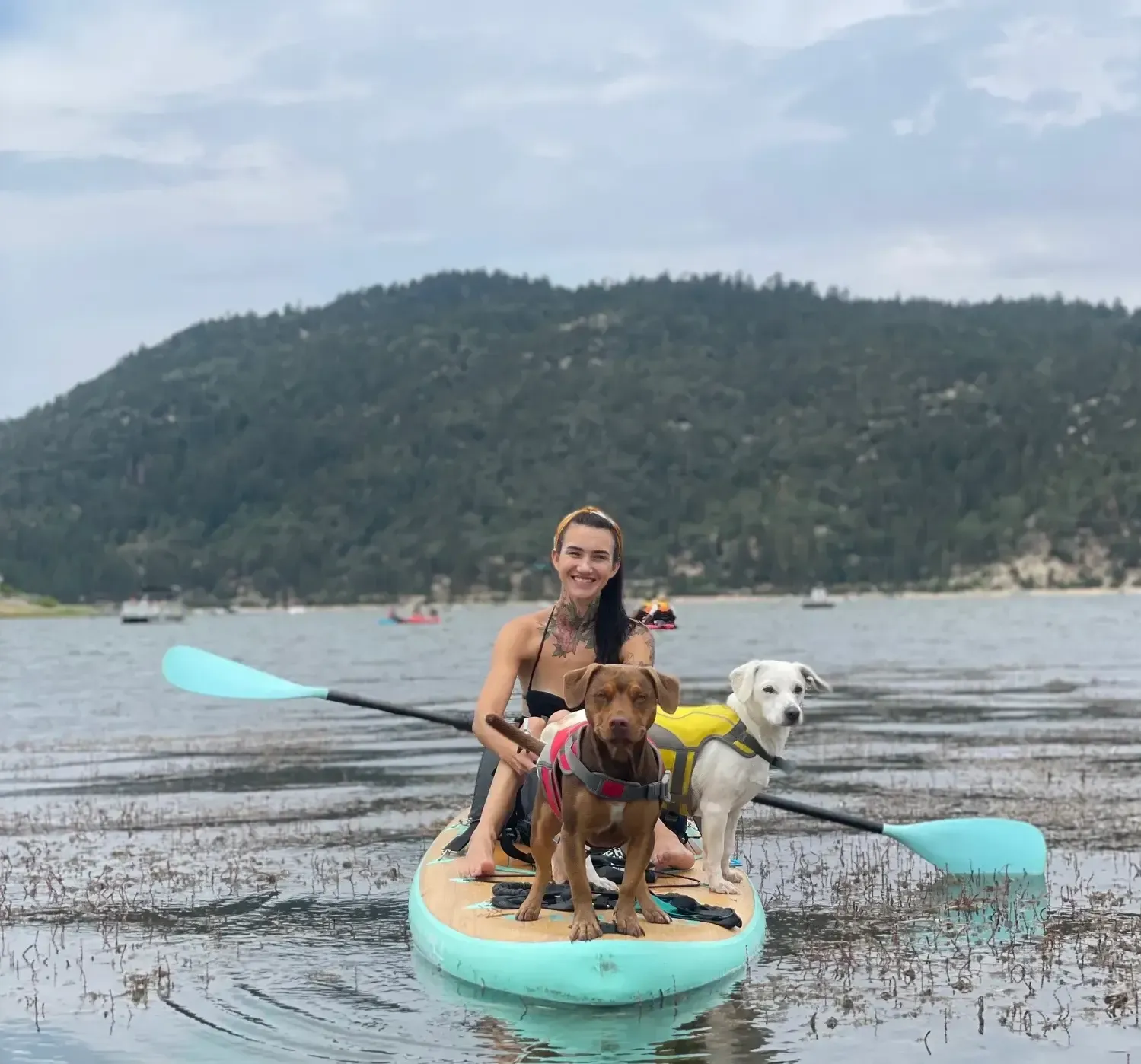 Woman and two dogs paddleboarding on a lake, with a mountain backdrop.