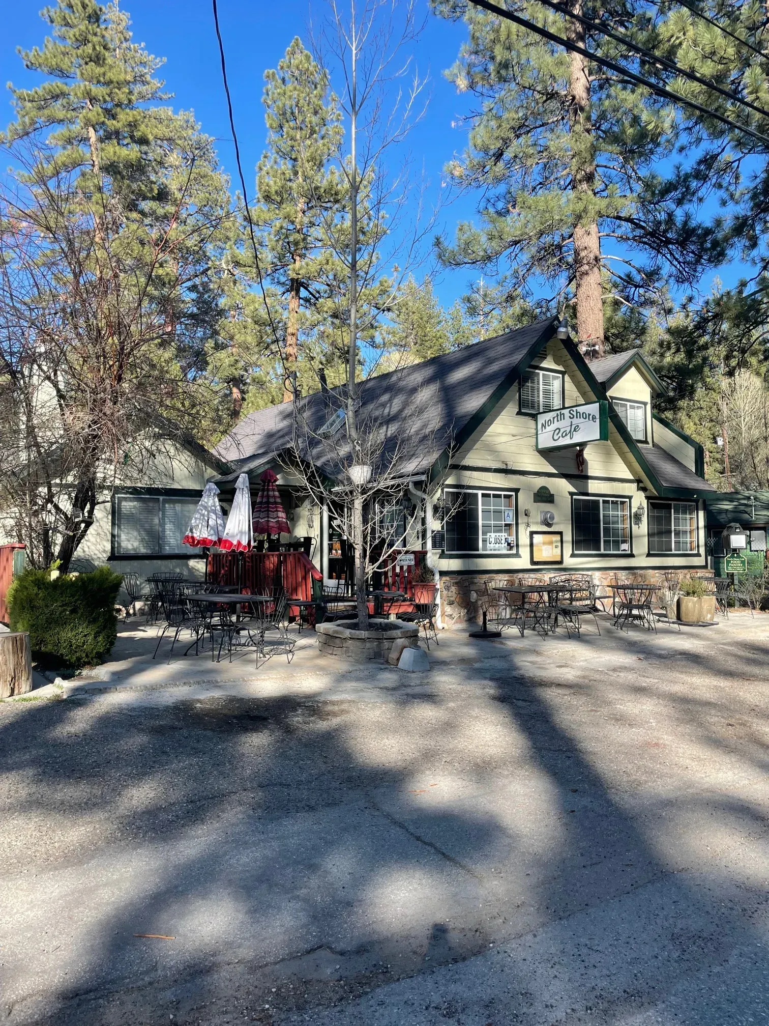 Exterior view of a green, rustic restaurant with outdoor seating under tall pine trees on a sunny day.