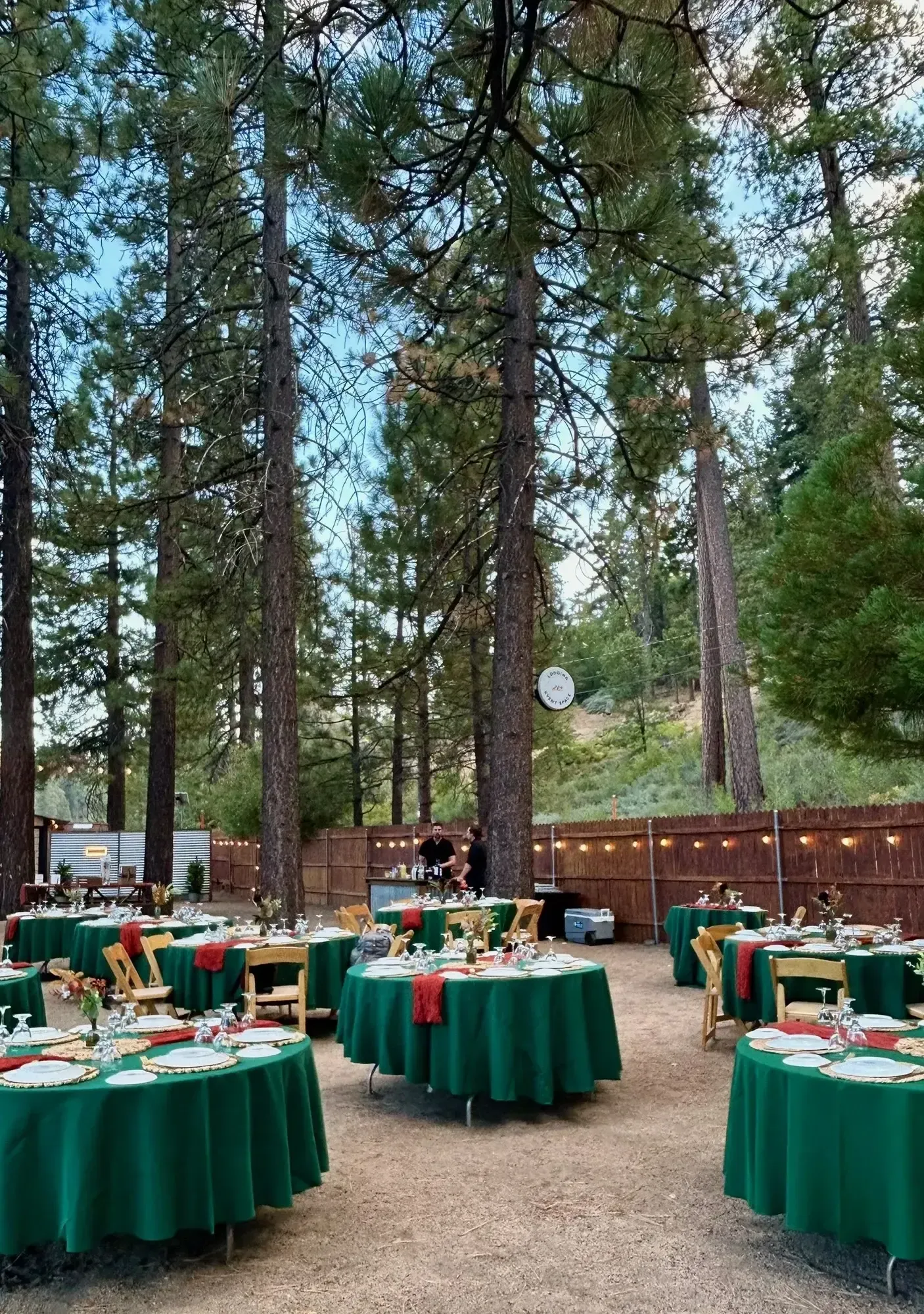 Outdoor dining tables with green tablecloths set in a forest clearing.
