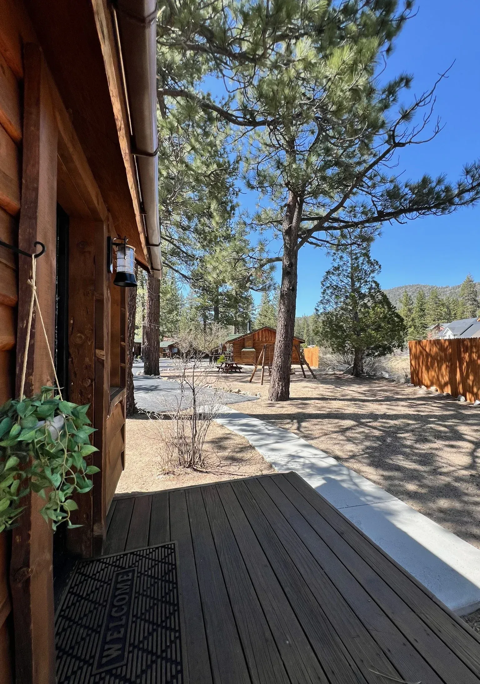 Wooden cabin porch, hanging plant, trees, gravel yard, sunny day.