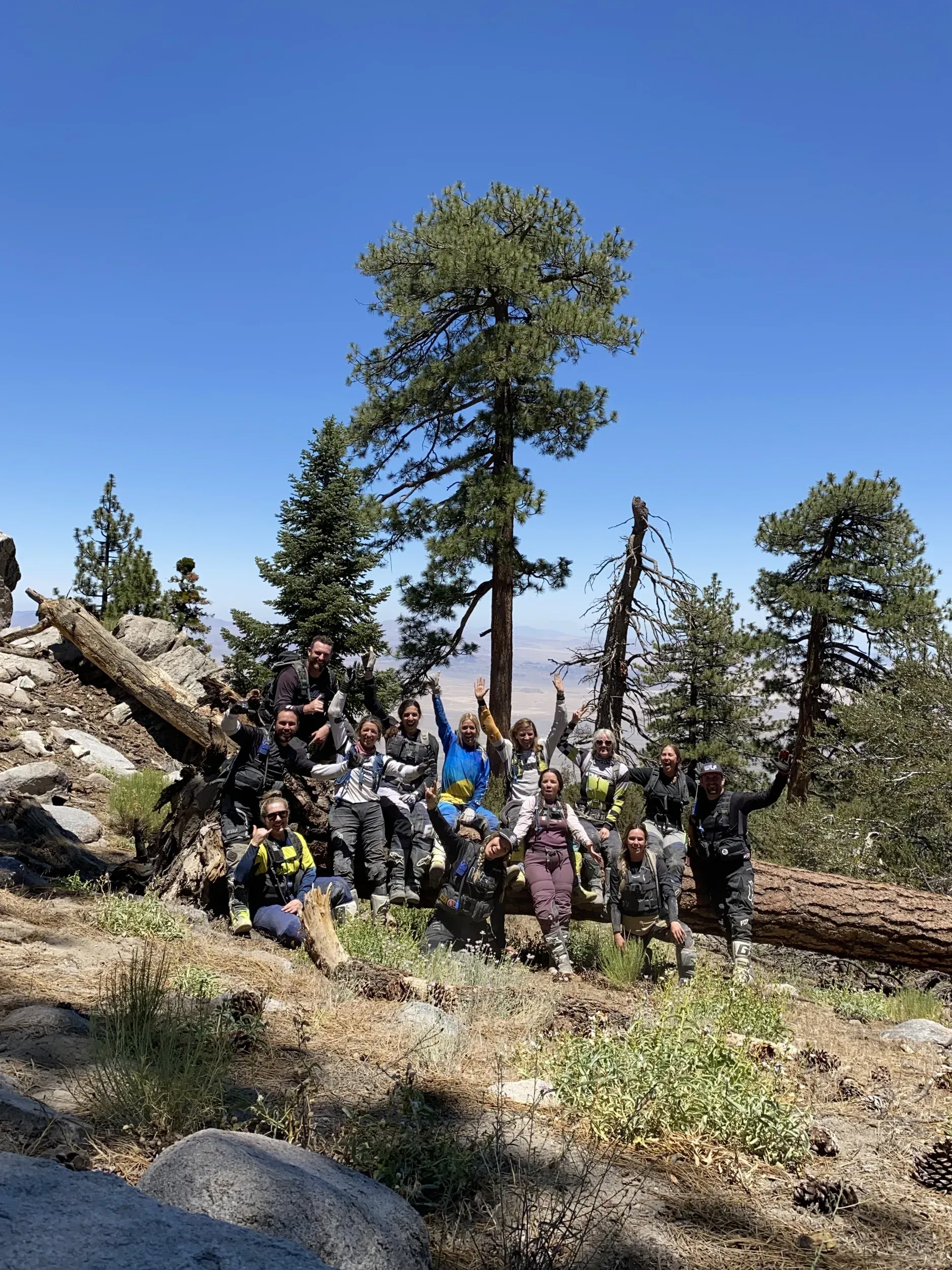 Group of people posing on a rocky mountainside with trees against a blue sky.