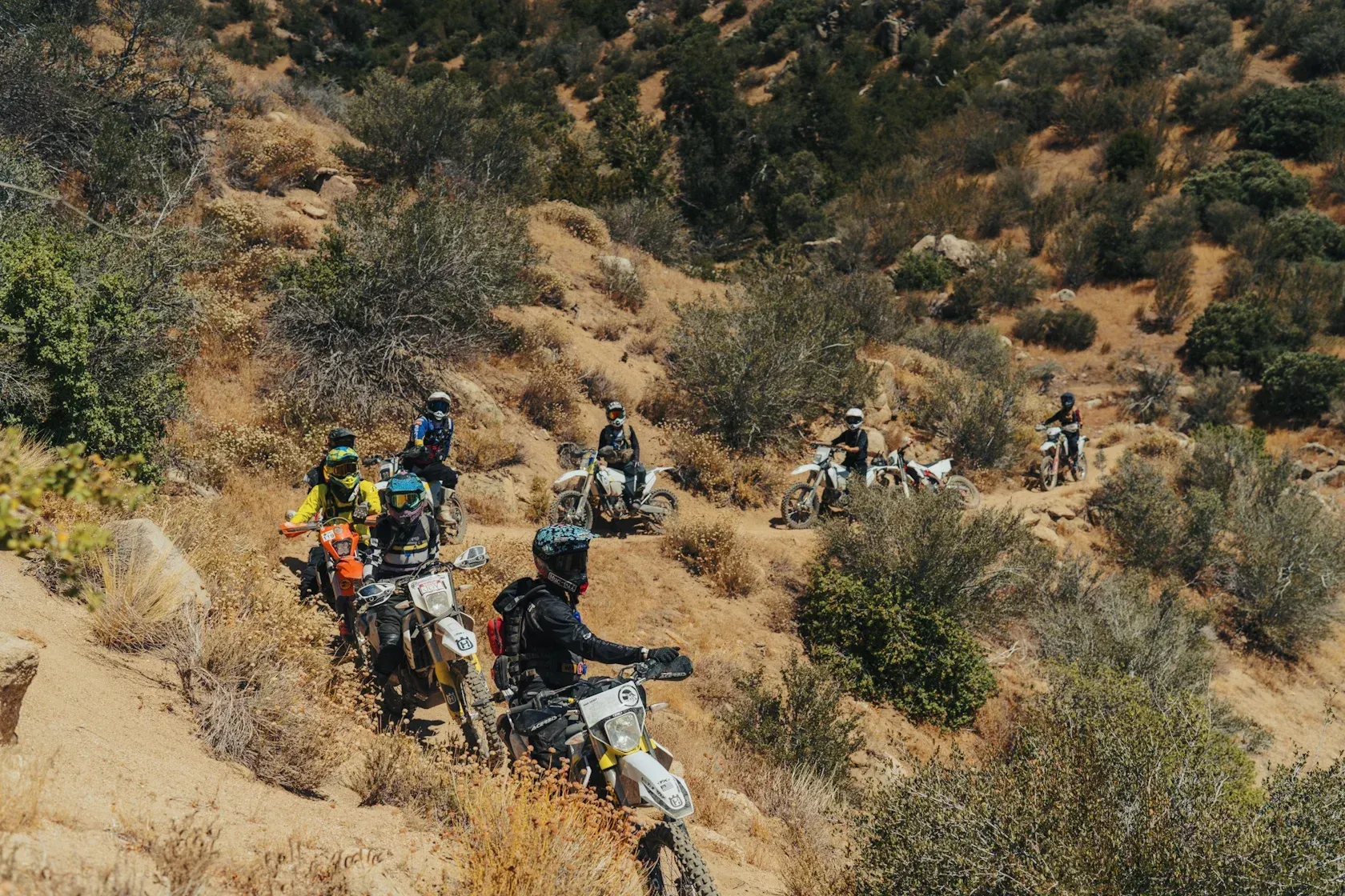 Motorcyclists ride dirt bikes on a dry, dirt trail, surrounded by sparse bushes and trees on a hillside.