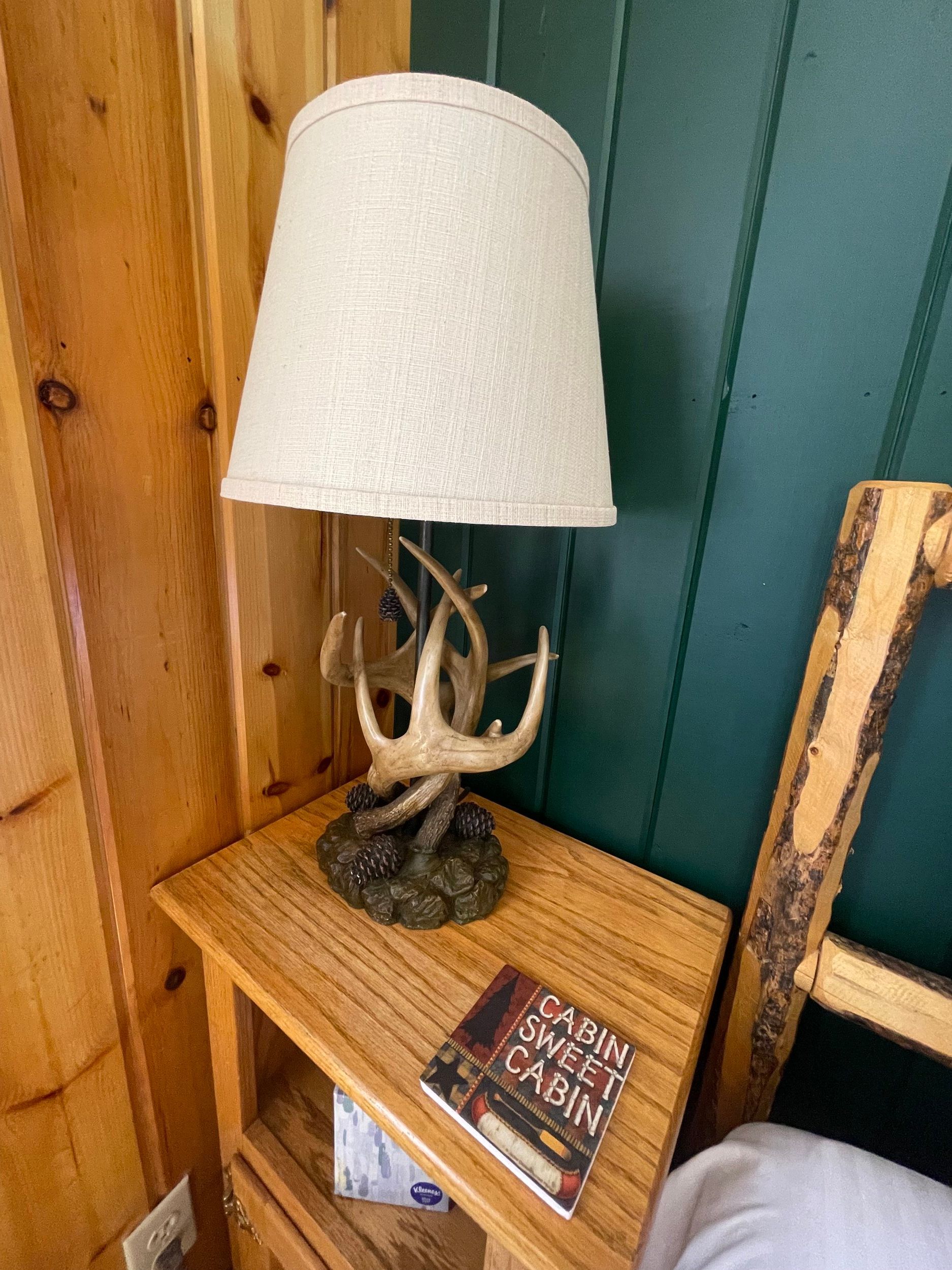 Lamp with antler base on a wooden nightstand in a cabin setting, with a book titled 