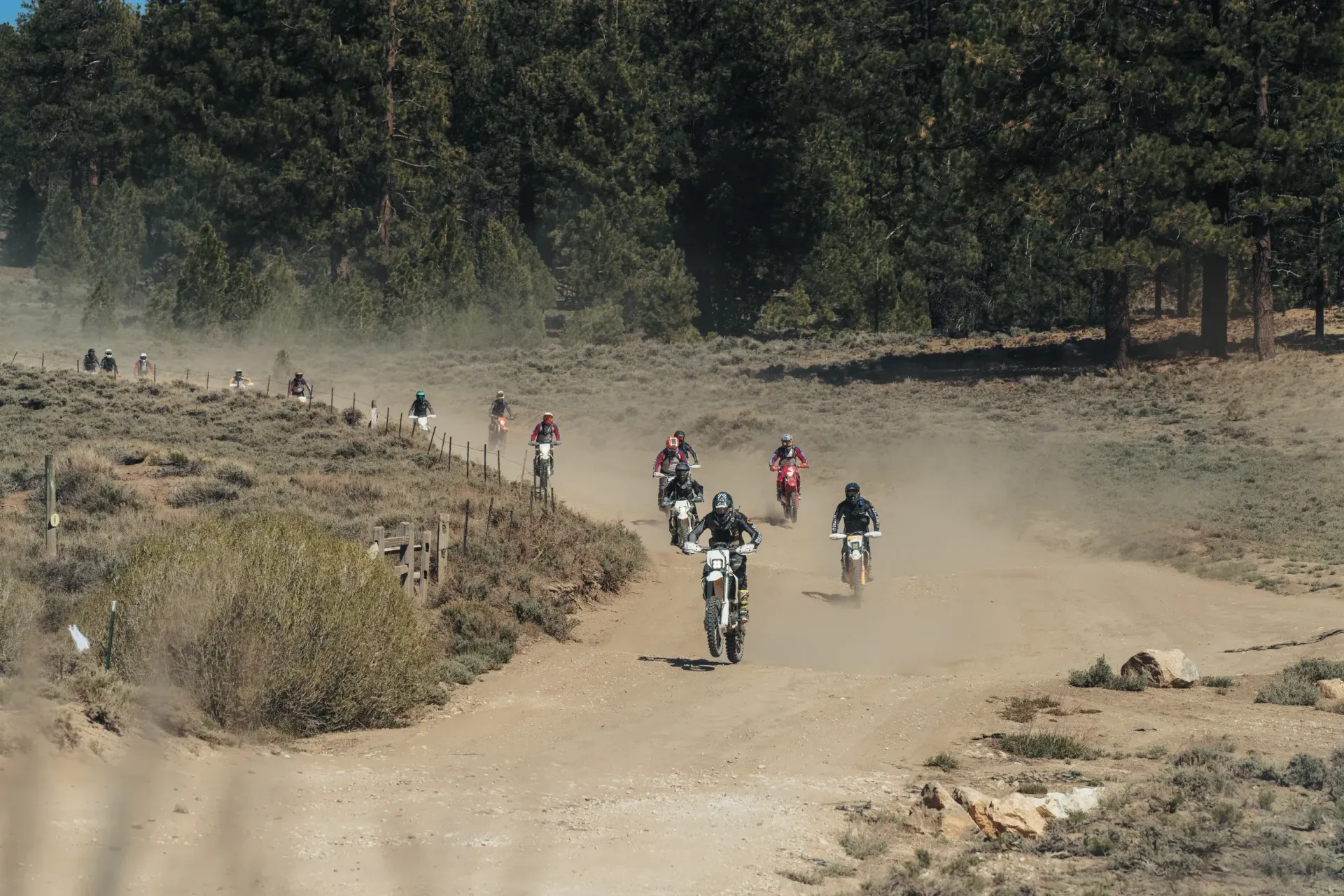 Dirt bikers racing down a dusty trail; trees in the background, bright sunlight.