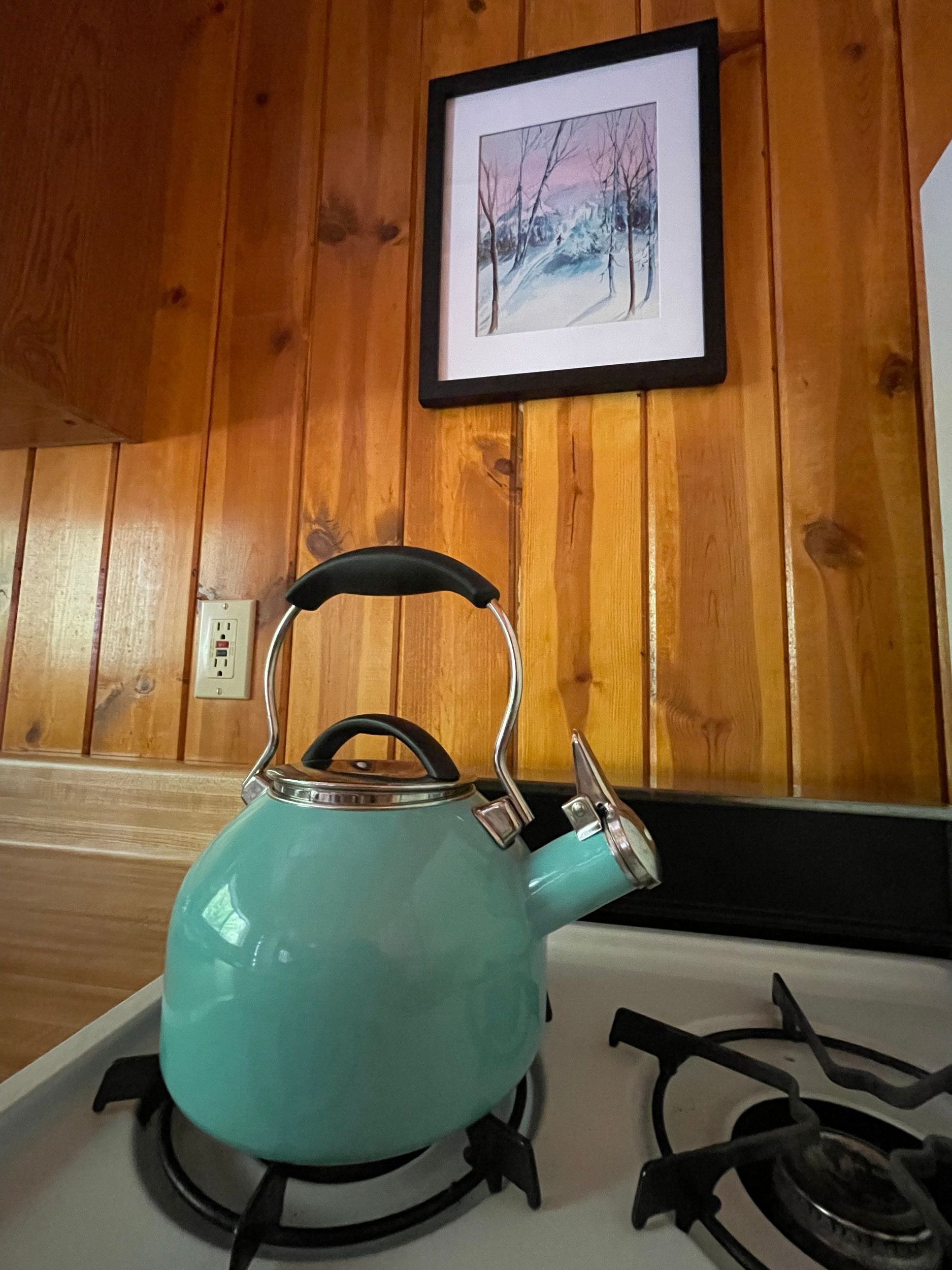 Teal tea kettle on a gas stove in front of wooden paneling, with a framed painting on the wall.