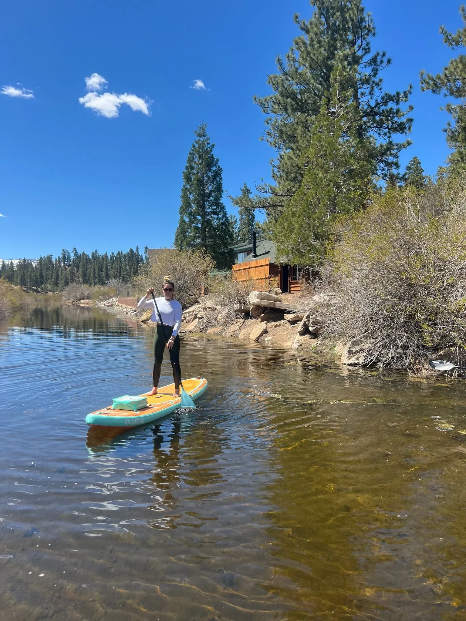 Person paddleboarding on a lake, surrounded by trees and a sunny sky.