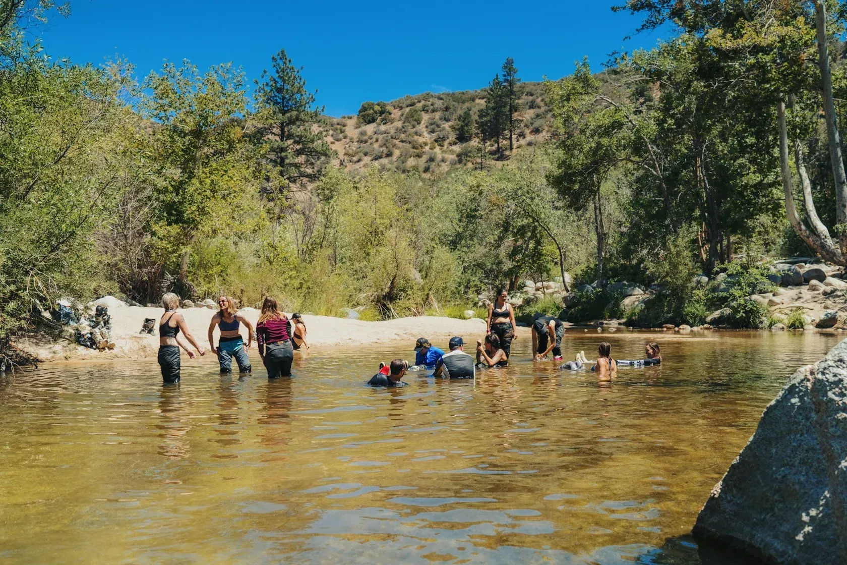 People wading and swimming in a shallow, clear stream surrounded by trees, on a sunny day.