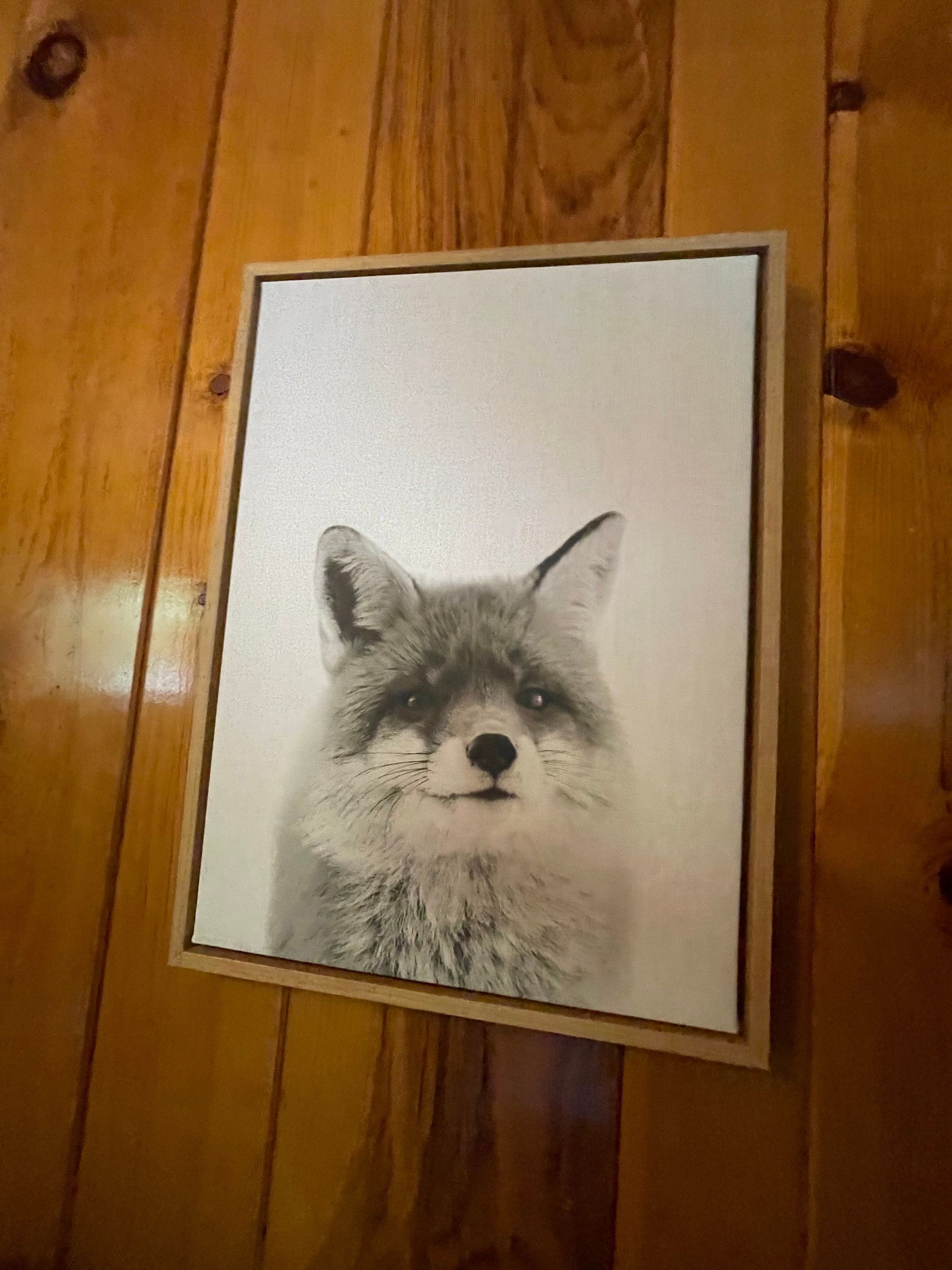 Fox portrait art, framed, hanging on a wood-paneled wall.