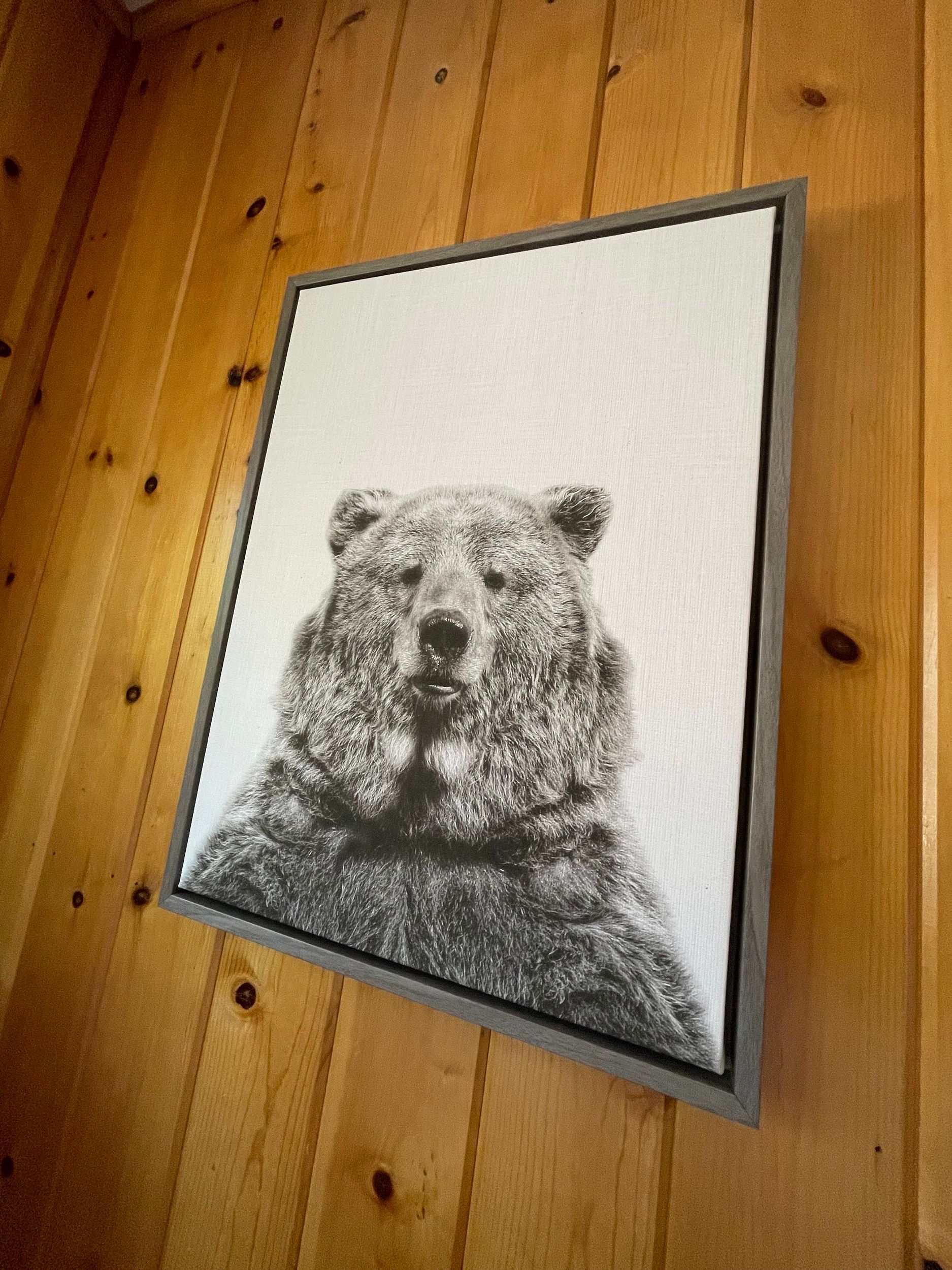 Black and white bear portrait in a framed print hanging on a wood-paneled wall.
