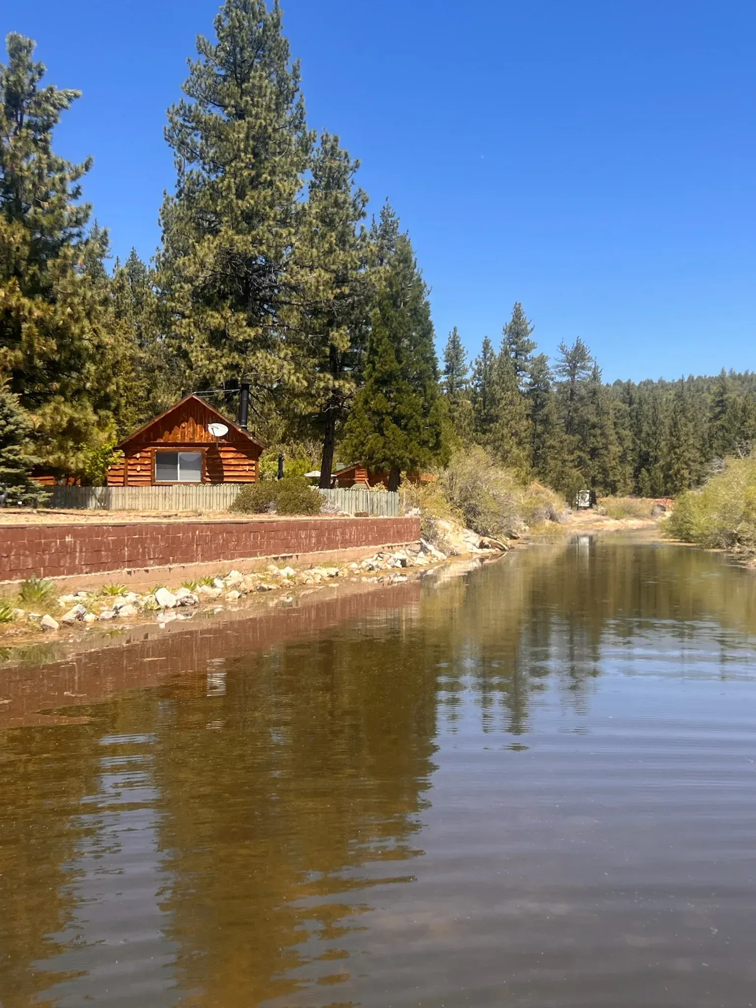 Log cabin near calm lake, surrounded by pine trees under a clear blue sky.