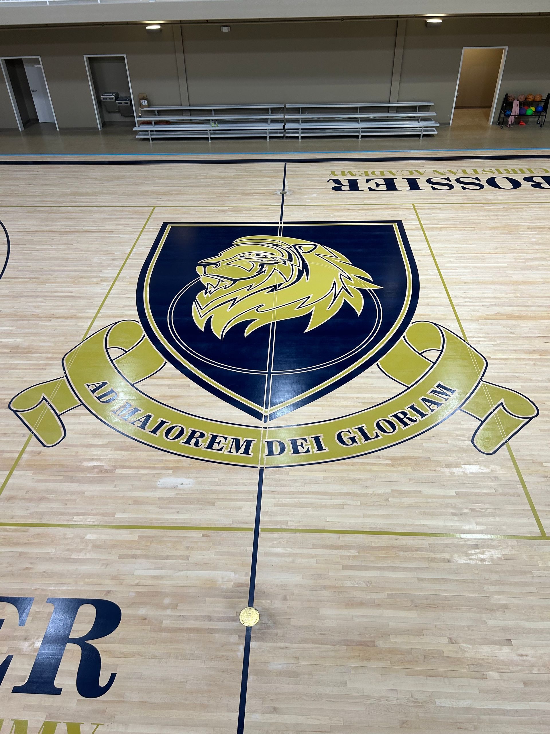 A basketball court with a lion emblem on it