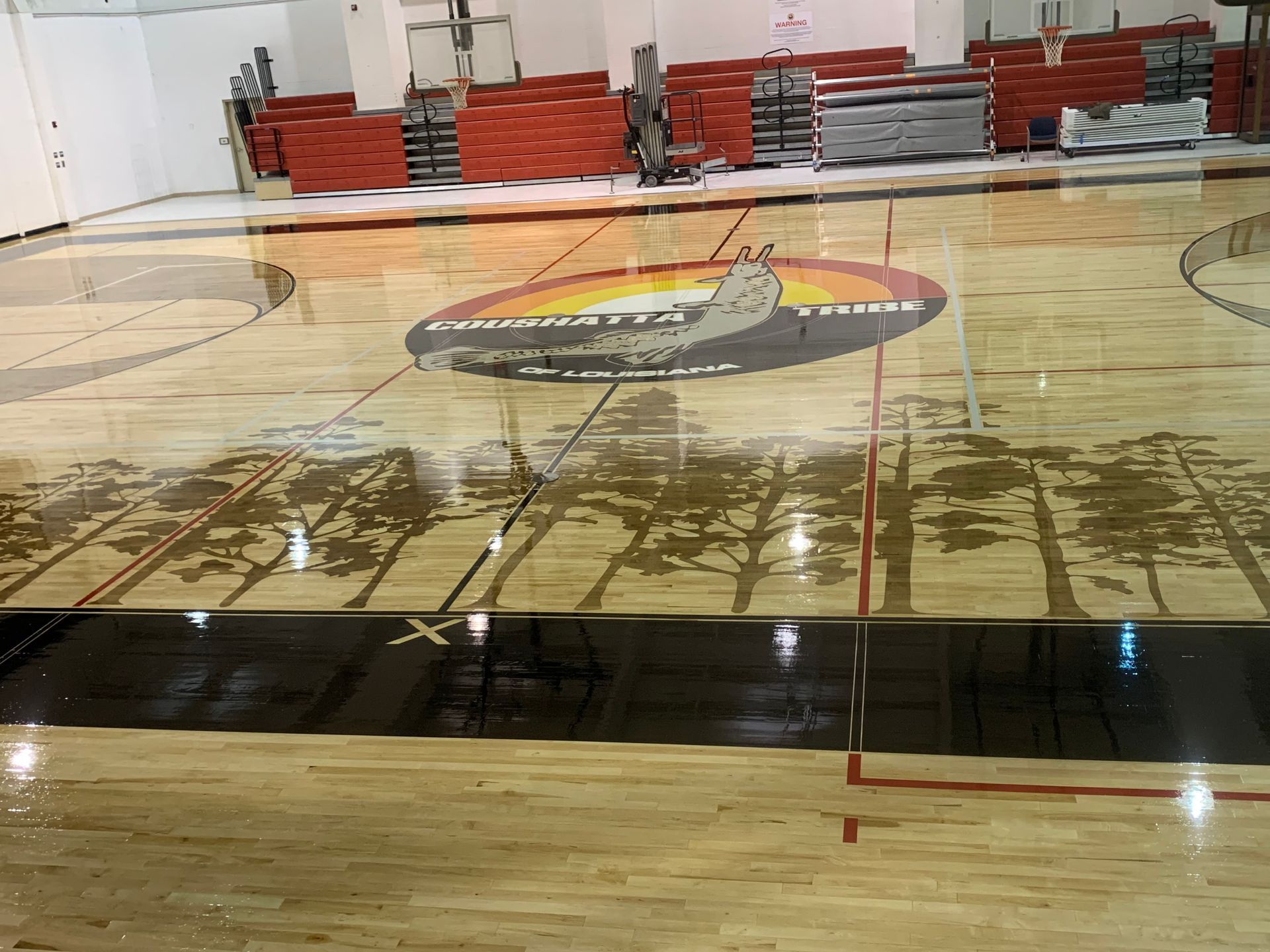 A basketball court with a wolf logo on the floor