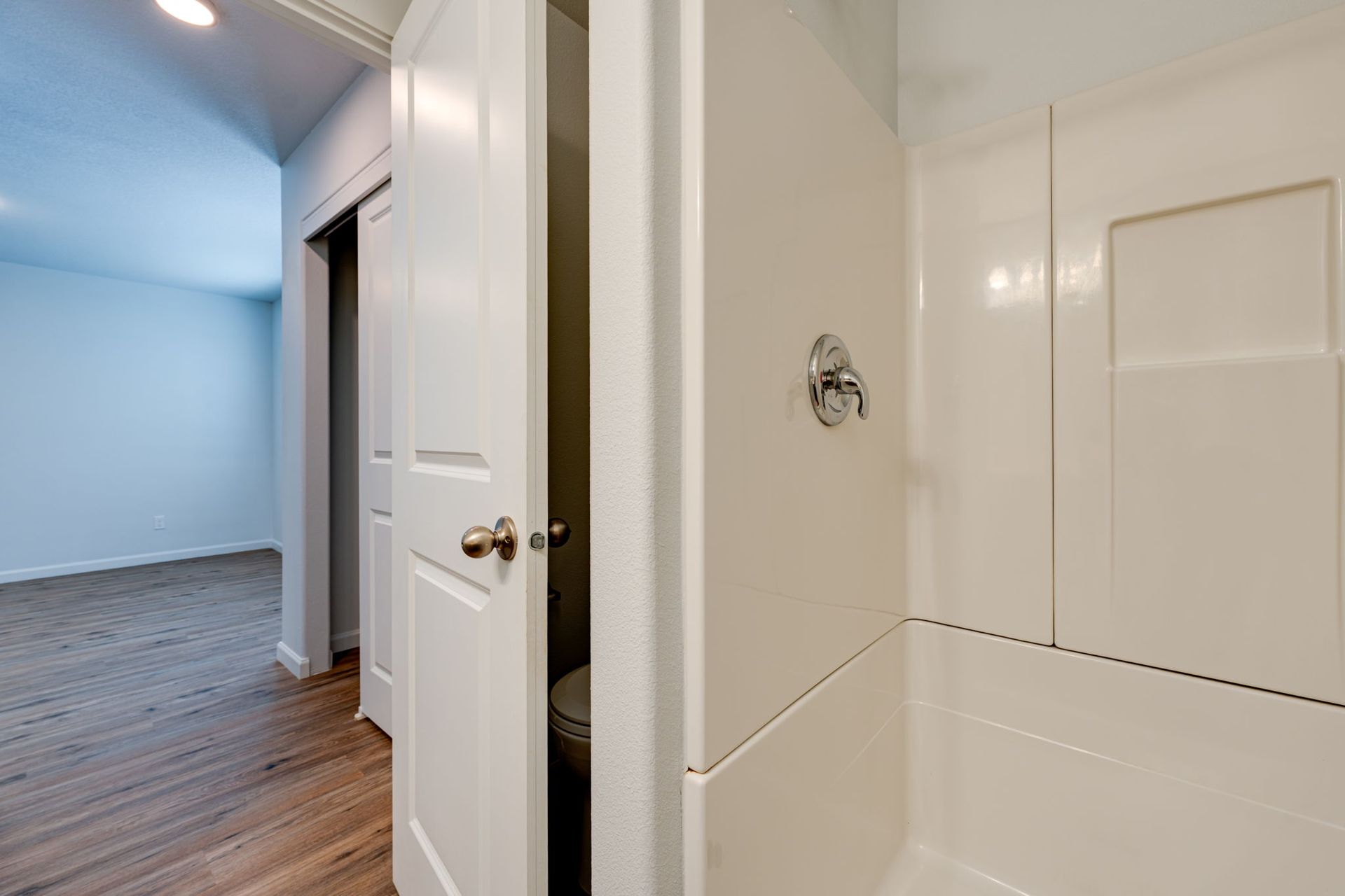 view of stand in shower with hallway closet in the background.