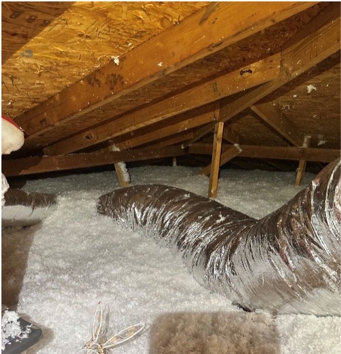 Attic insulation removal 3