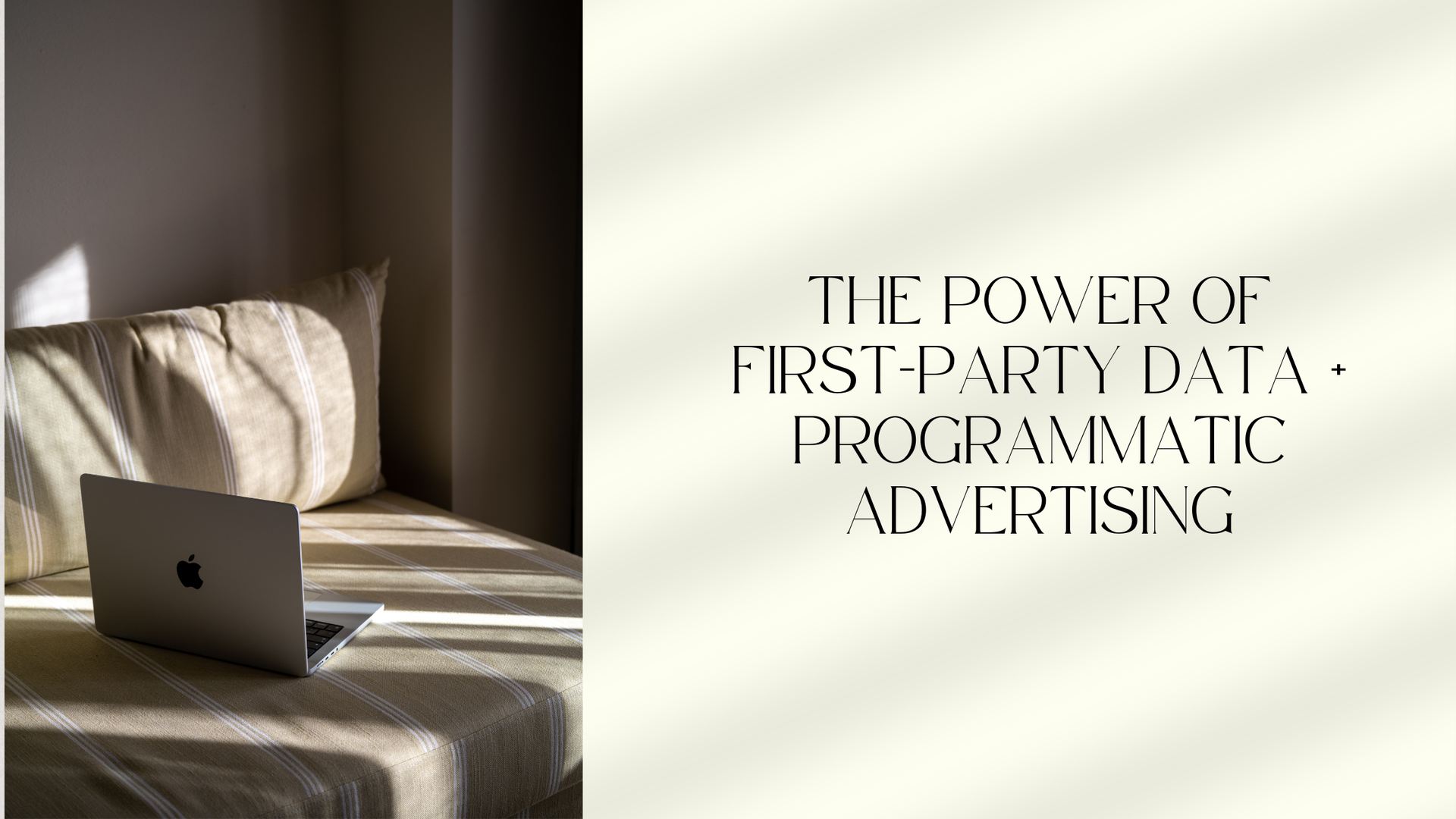 The Power Of First-Party Data + Porgrammatic Advertising