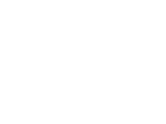 Queen Plumbing LLC Logo