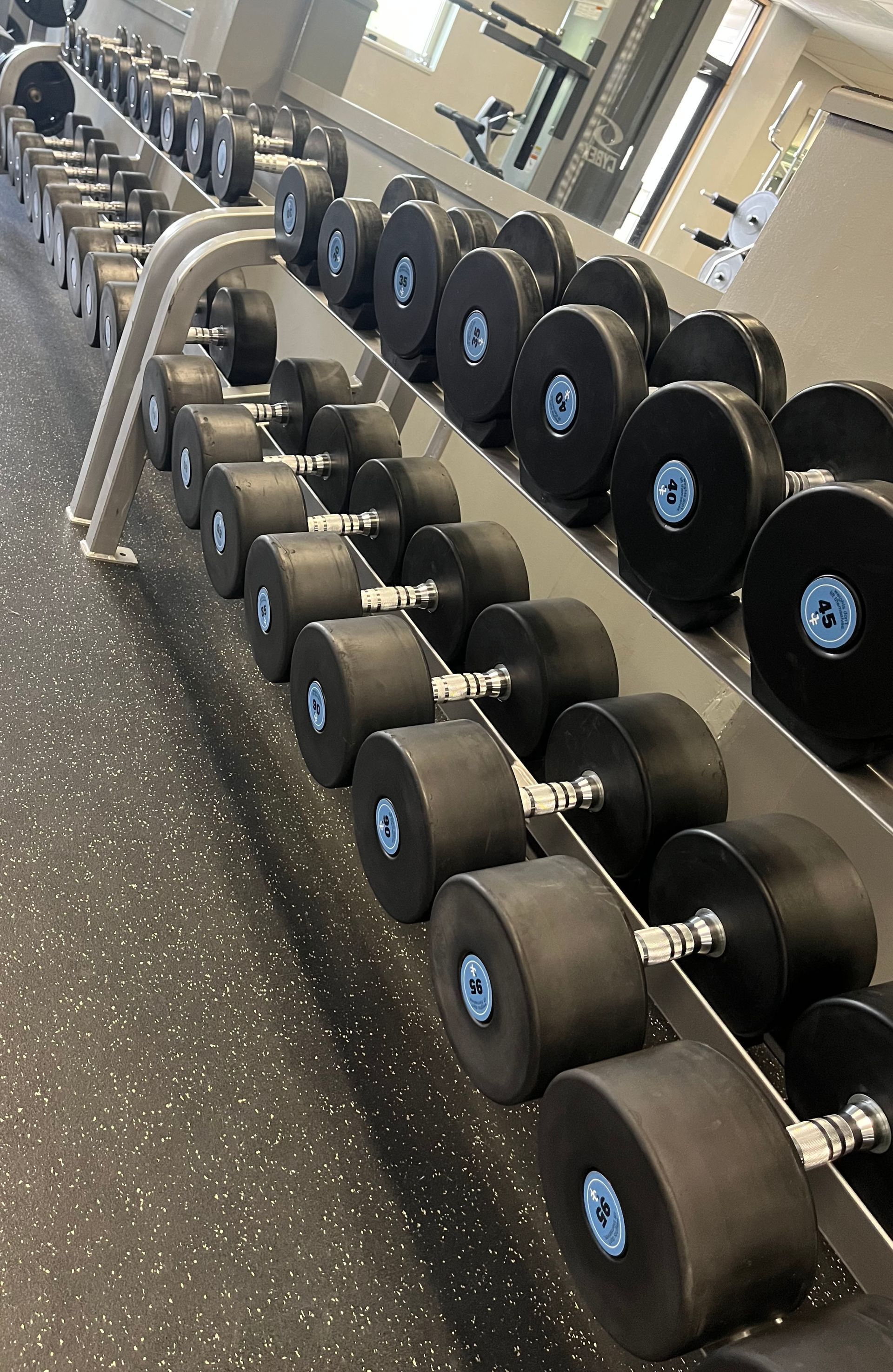 A row of dumbbells are lined up on a rack in a gym.