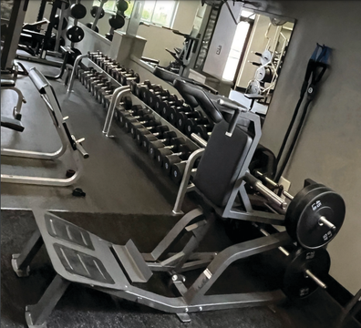 A row of dumbbells are lined up in a gym