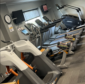 A row of treadmills are lined up in a gym