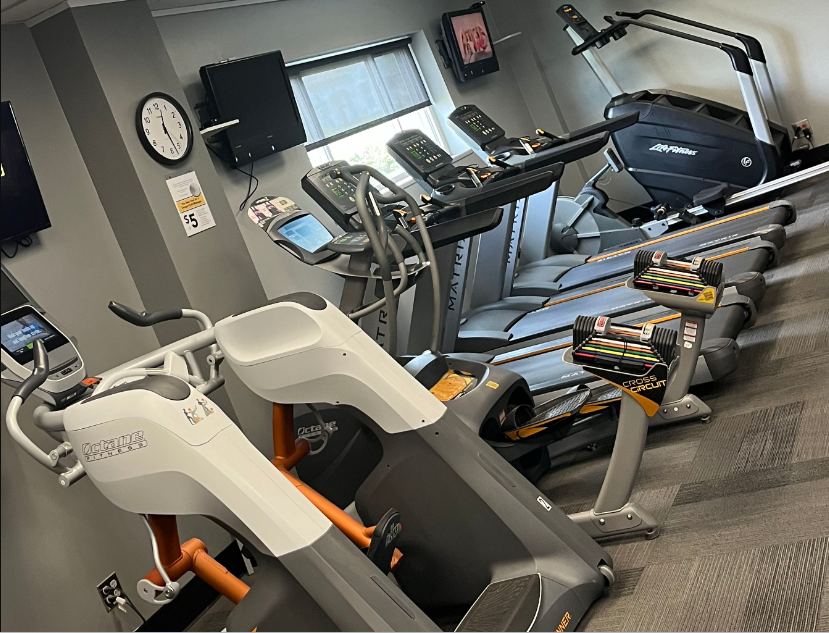 A row of treadmills are lined up in a gym.