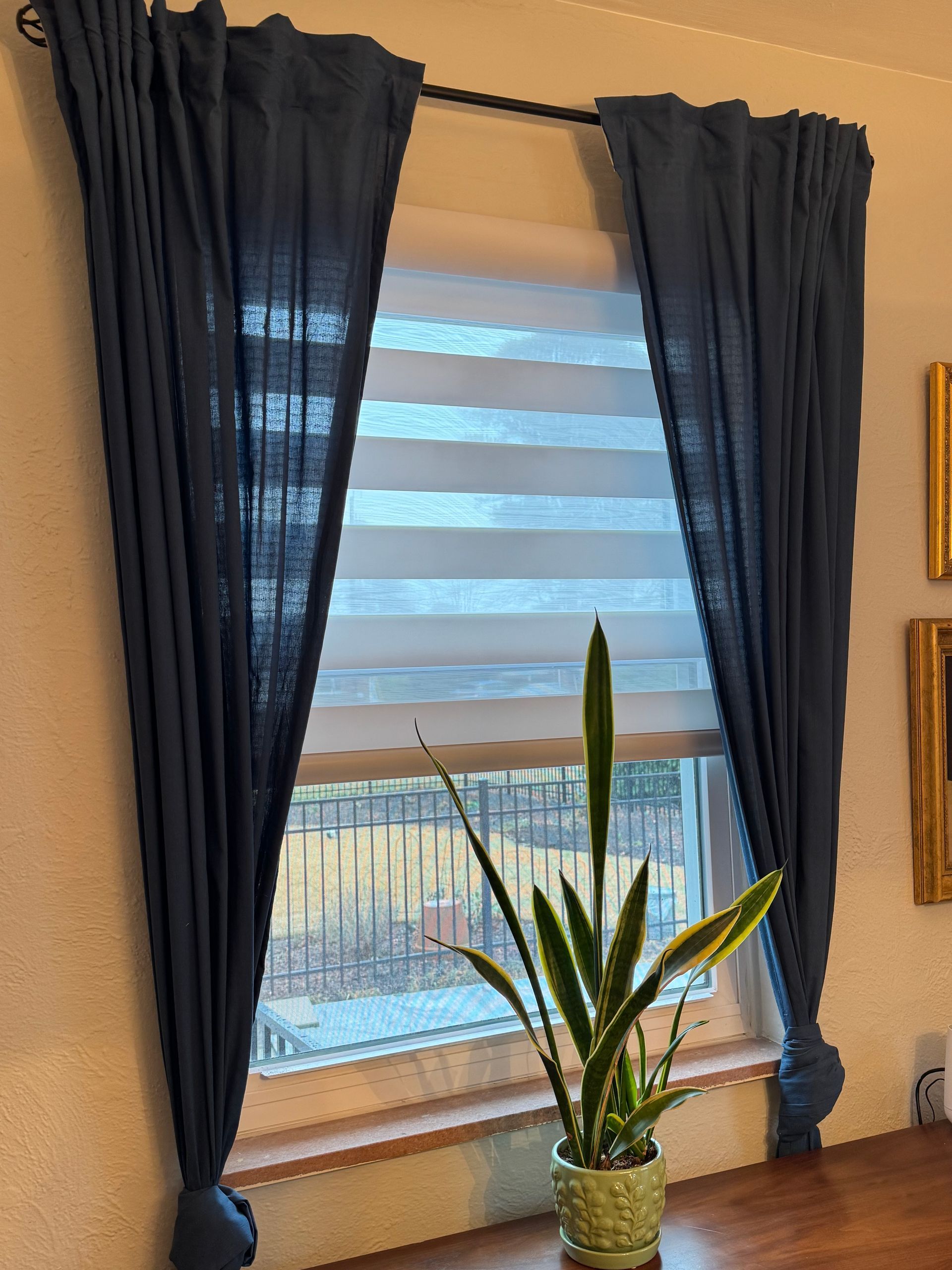 A potted plant is sitting in front of a window with blue curtains.