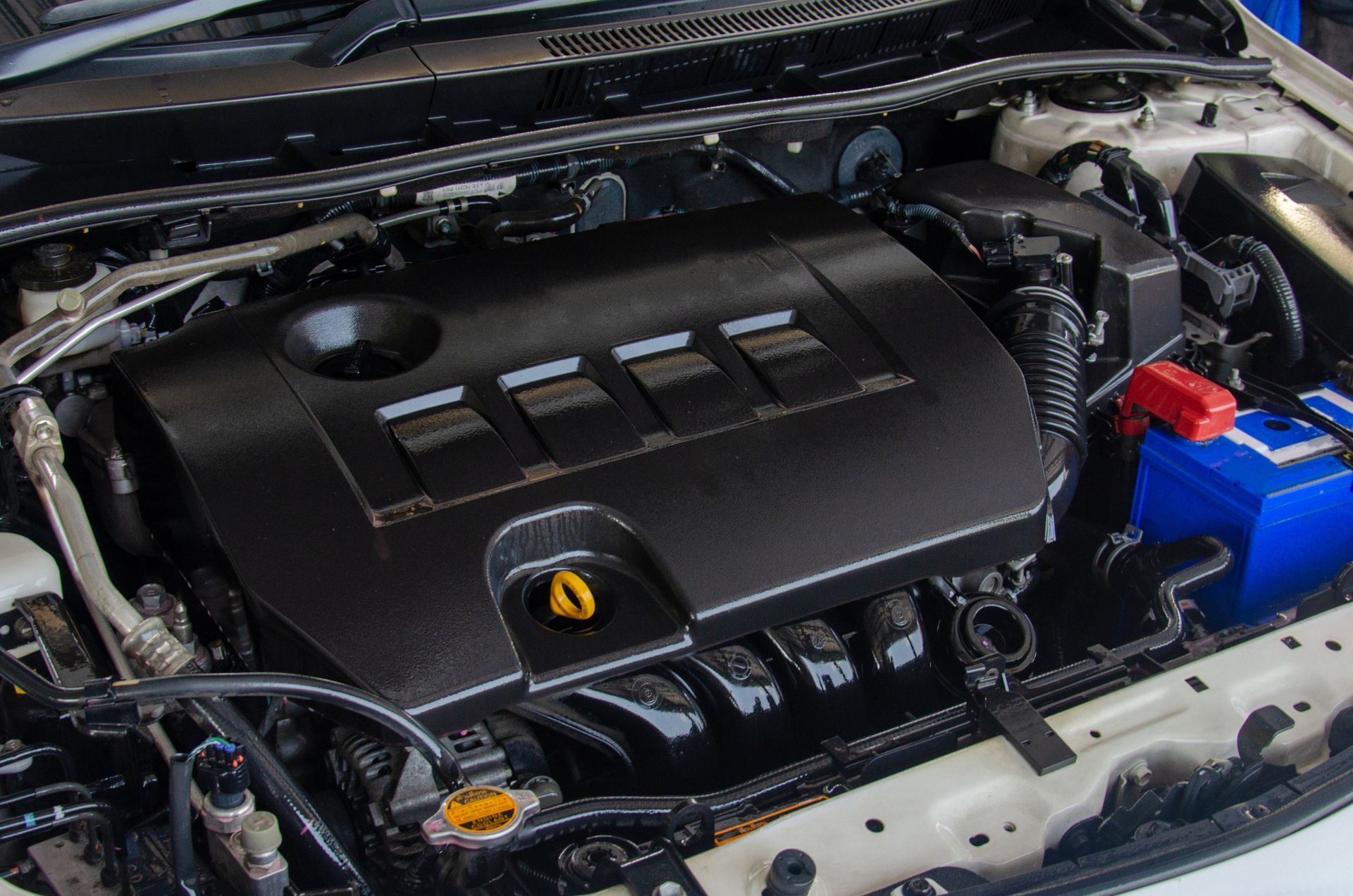 Engine Repair | Keller Alliance Auto Repair