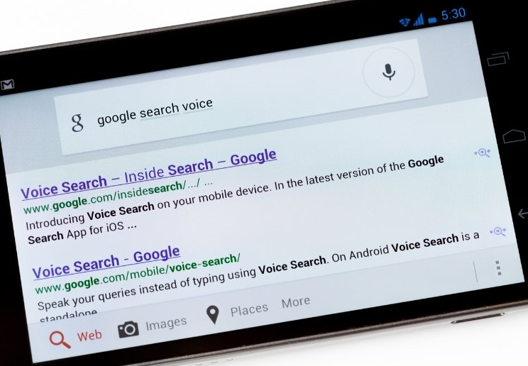 Picture of a computer screen showing google search results for voice searching.