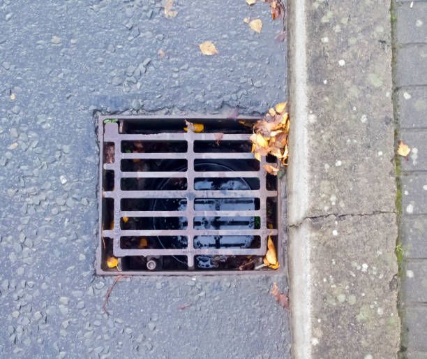 Metal storm drain in asphalt next to a concrete curb with fallen leaves scattered around.