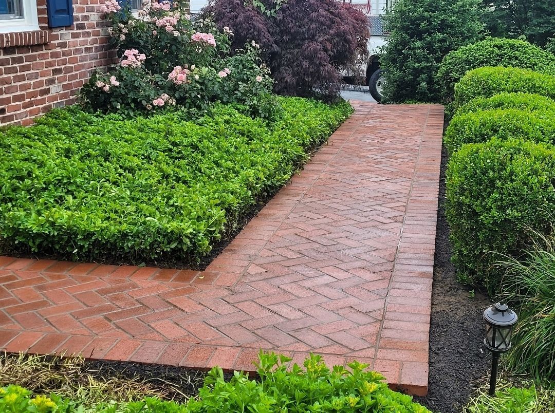 Brick walkway lined with green bushes and shrubs leading to a house.