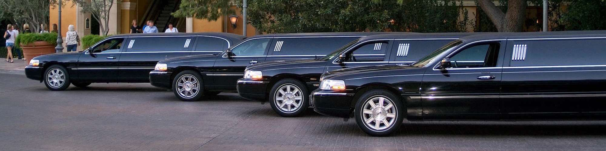 Tampa limo service rentals