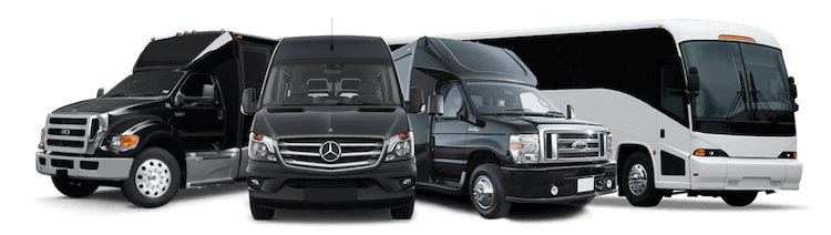 Tampa party bus service