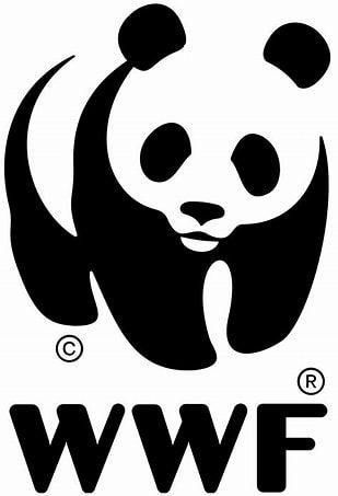 WWF logo