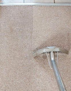 carpet cleaning