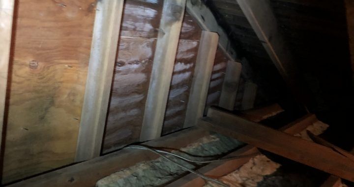 Attic Moisture Buildup