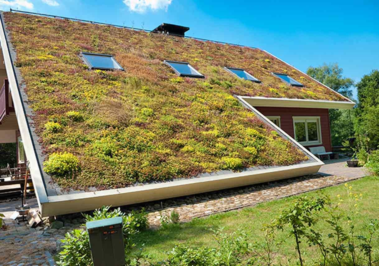 Green Roofs