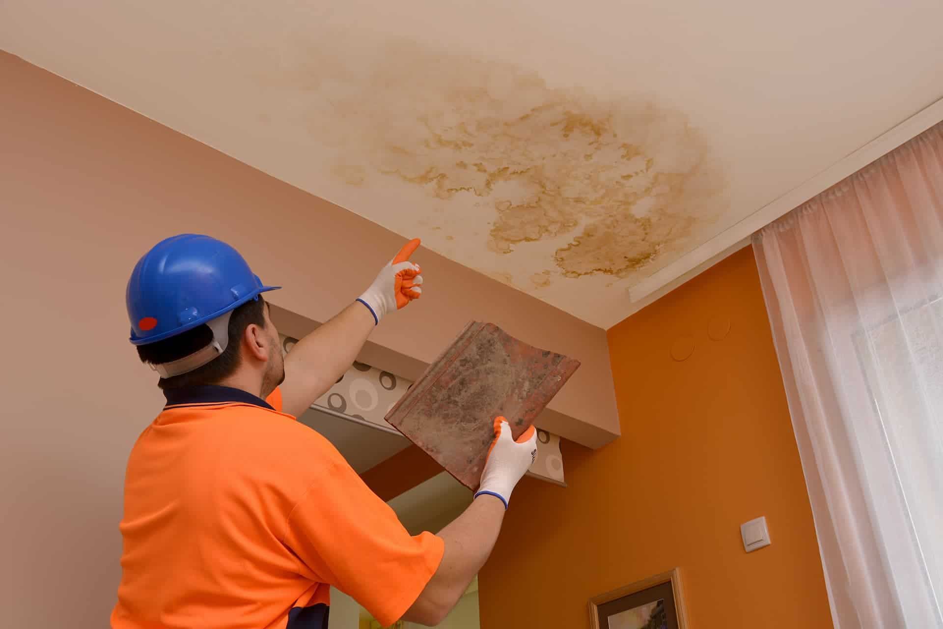 How to Stop Mold from Roof Leak: Prevention Tips