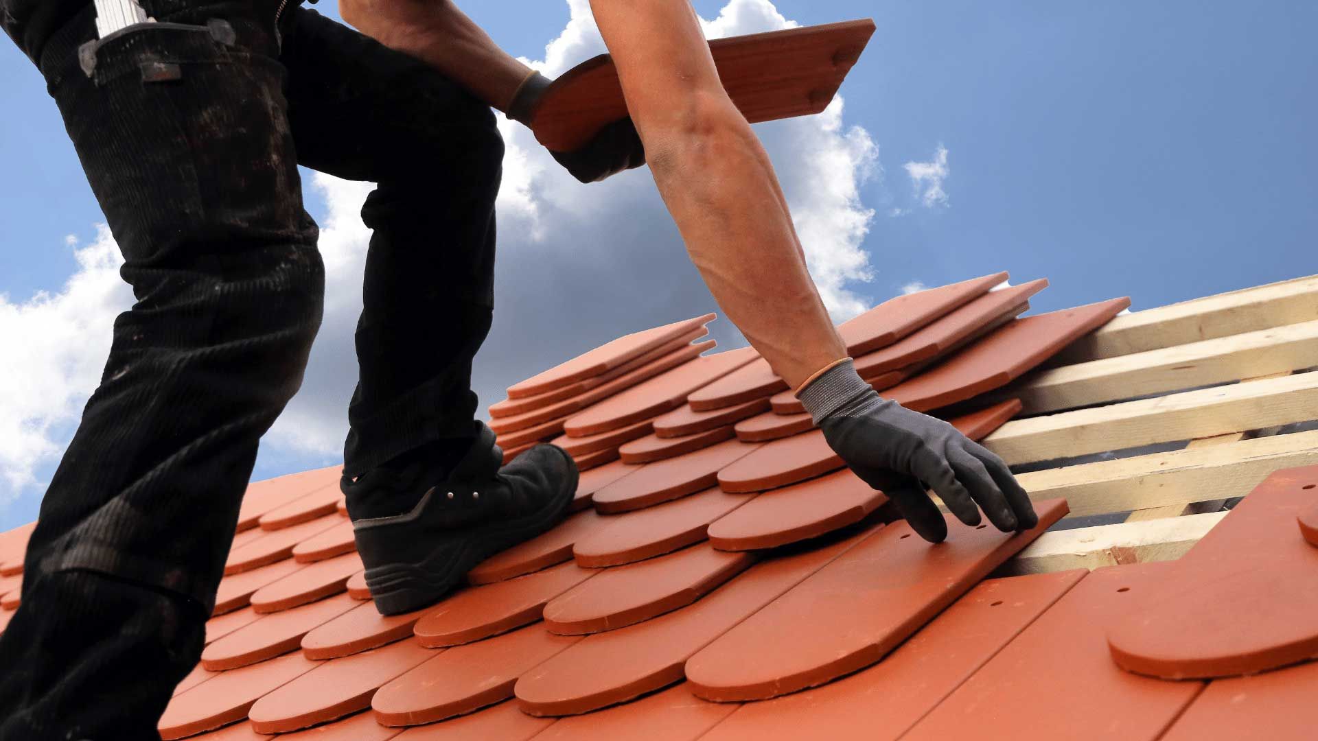 Insurance & Warranty Considerations