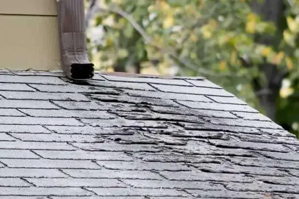Signs You May Need a Roof Replacement
