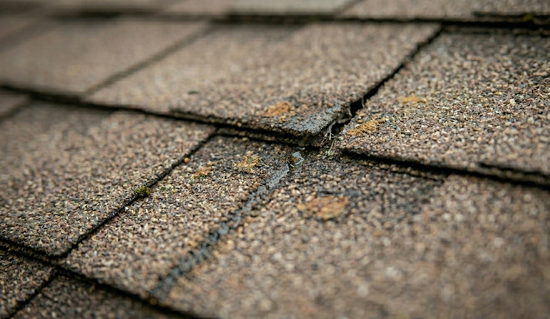 Close-up of brown asphalt roof shingles with a missing section and signs of granular wear and surface damage.