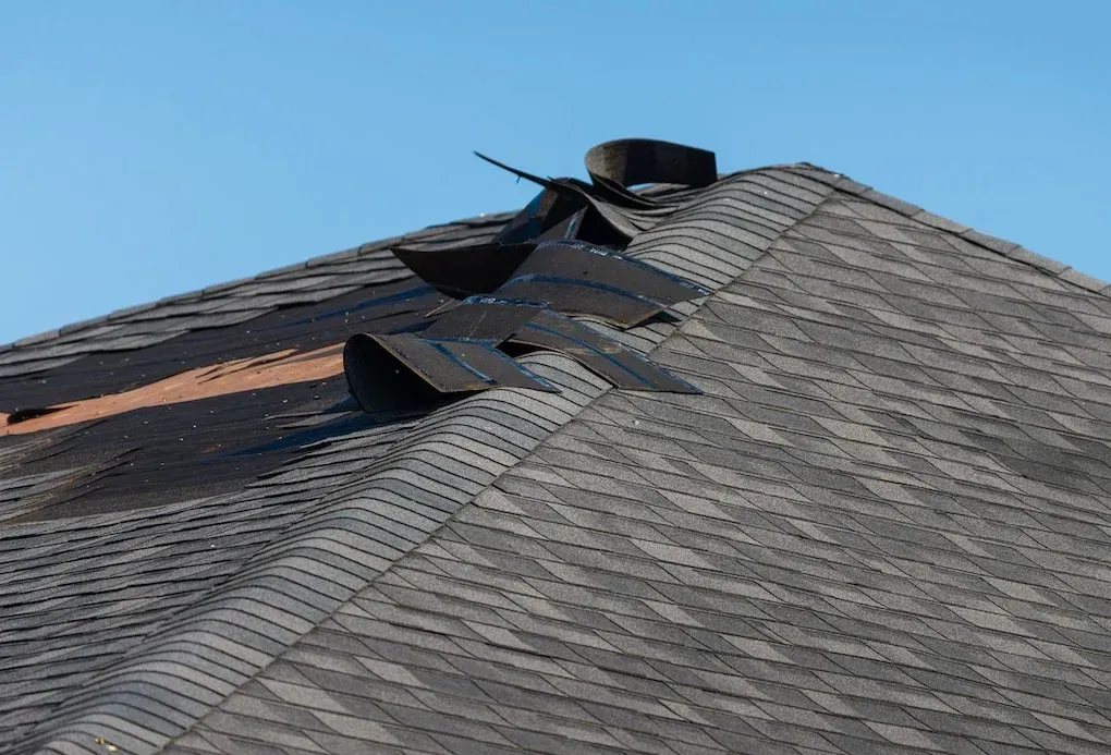 What Types of Roof Damage Are Typically Covered?