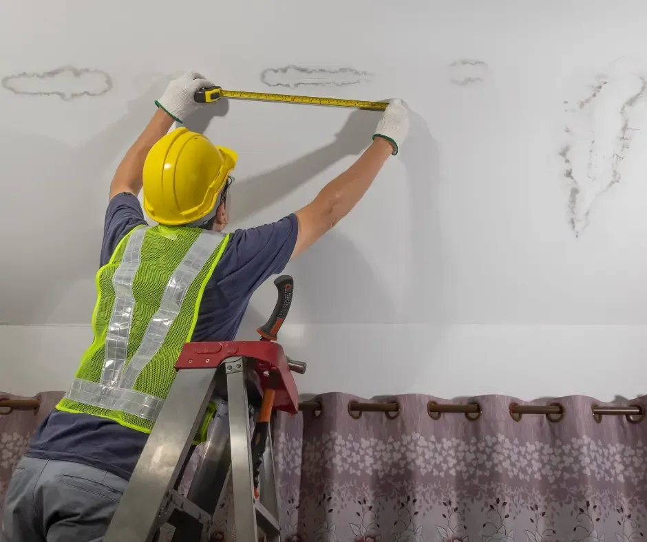 Cost to Fix Mold from Roof Leak