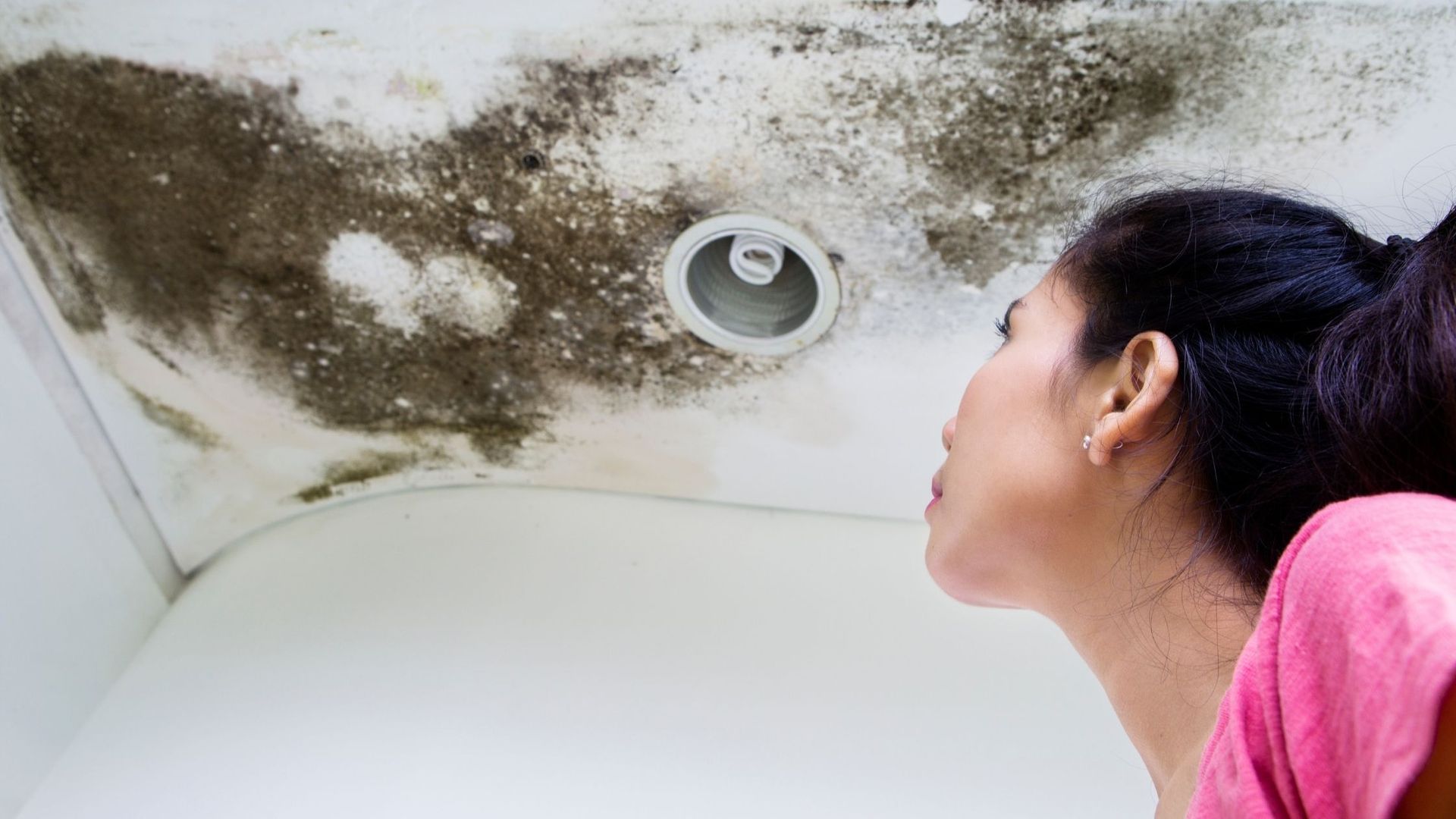 Will a Leak in the Roof Cause Mold? Here’s How Fast It Can Happen