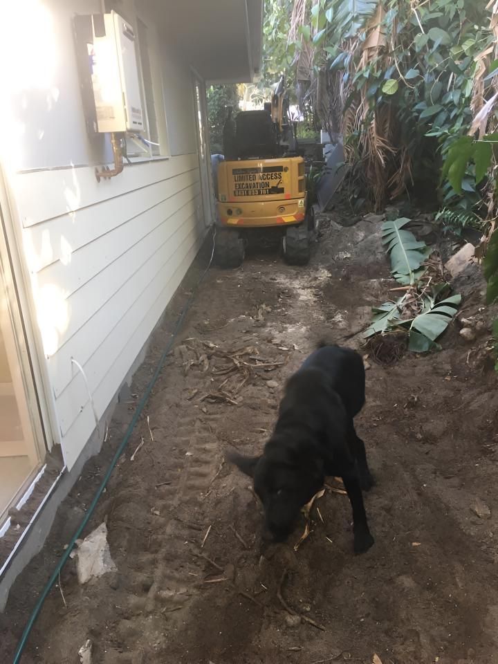 A Black Dog is Standing in the Dirt in Front of a House — Limited Access Excavation In Suffolk Park, NSW