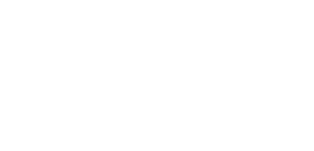 Fulgum's